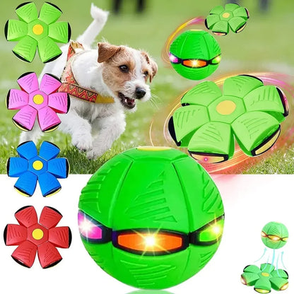 Pelota Balon Volador Frisby